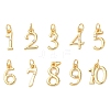 Brass Micro Pave Cubic Zirconia Pendants KK-D019-28G-1