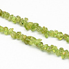 Natural Peridot Stone Bead Strands X-G-R224-02-1