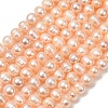 Natural Cultured Freshwater Pearl Beads Strands PA-CBABE82-16-2