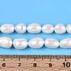 Natural Cultured Freshwater Pearl Beads Strands PEAR-N014-06I-5
