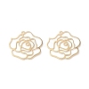 Brass Pendants KK-I702-31G-1
