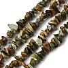 Natural Rhyolite Jasper Beads Strands GG-CBAC13F-B01-01-2