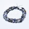 Natural Cordierite/Iolite/Dichroite Beads Strands G-K203-10-2