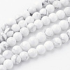 Natural Howlite Bead Strands G-G735-66-6mm-2