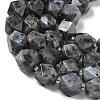 Natural Labradorite Beads Strands GG-CBAF8A8-A05-01-4