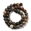 Natural Picture Jasper Beads Strands G-H037-A01-03-3