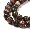 Natural Polychrome Jasper/Picasso Stone/Picasso Jasper Beads Strands G-E571-25C-4