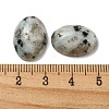 Natural Sesame Jasper Cabochons G-C115-01A-29-3