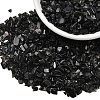 Natural Obsidian Chip Beads G-L453-08-3