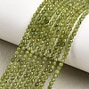 Natural Canadian Jade Beads Strands G-G259-D02-2mm-1