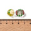 98Pcs Fruits Theme Resin Enamel Beads RESI-Z041-02-3