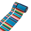 2Rolls 2 Styles Stripe Pattern Printed Polyester Grosgrain Ribbon OCOR-TA0001-37N-8