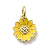 Brass Enamel Pendants KK-P338-19G-02-1