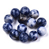Natural Blue Spot Jasper Beads G-R483-08-8mm-1