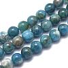 Natural Apatite Beads Strands G-F617-01-12mm-1