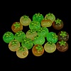 Luminous Resin Imitation Vegetable Cabochons RE-CBA8643-01-5