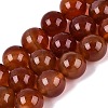 Natural Red Agate Beads Strands G-Q606-16MM-01-1