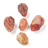 Rough Raw Natural Carnelian Beads G-H254-24-1