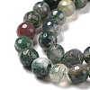Natural Indian Agate Beads Strands G-E571-24B-4