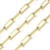 304 Stainless Steel Paperclip Chains CHS-R020-06G-03-1