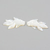 Natural White Shell Mother of Pearl Shell Beads SHEL-T017-17-2