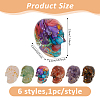6Pcs 6 Styles Resin Skull Display Decoration DJEW-DC0001-15-2