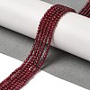 Natural Garnet Beads Strands G-B090-A20-03-2