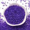 Glass Cylinder Beads SEED-L011-11B-04-2