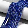 Natural Lapis Lazuli Dyed Beads Strands G-G140-B03-04-2