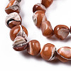 Natural Trochid Shell/Trochus Shell Beads Strands SSHEL-N032-48-A07-3