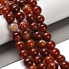 Dyed Natural Banded Agate Beads Strands G-G175-A09-01-2