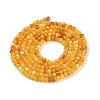 Natural Yellow Shell Beads Strands BSHE-G036-09A-2
