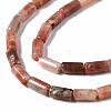 Natural Brecciated Jasper Beads Strands G-S366-085-3