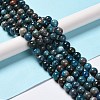 Natural Apatite Beads Strands G-H287-01C-2