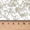 12/0 Electroplate Glass Seed Beads SEED-Q003-S-4