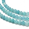 Natural Amazonite Beads Strands G-Z074-B01-4