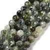 Natural Prehnite Beads Strands G-G140-A19-08-1