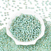 6/0 Glass Seed Beads SEED-N008-07D-2