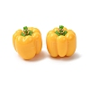 Imitation Vegetable Resin Pendants RESI-K033-03A-01-1