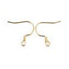 304 Stainless Steel Earring Hooks STAS-P210-19G-2