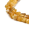 Natural Gemstone Beads Strands G-P497-01E-14-4