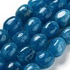 Natural Malaysia Jade Beads Strands G-P528-N08-01-1