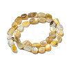 Natural Yellow Shell Beads Strands SSHEL-H072-08-2