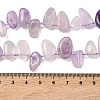 Natural Amethyst Beads Strands G-P604-A09-01-3