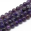 Natural Amethyst Beads Strands G-R446-6mm-20-1