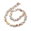 Drawbench Style Natural Freshwater Shell Beads Strands SHEL-F003-05-3