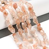 Natural Strawberry Quartz Beads Strands G-P497-01C-42-2