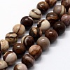 Natural Zebra Jasper Beads Strands X-G-I199-10-6mm-1