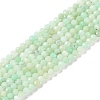 Natural Chrysoprase Beads Strands G-P542-A04-02-1