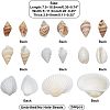 Natural Conch Shell Beads SSHEL-FH0001-05-2